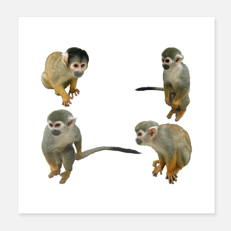 Monkeys Poster 8" x 8" (20x20 cm)