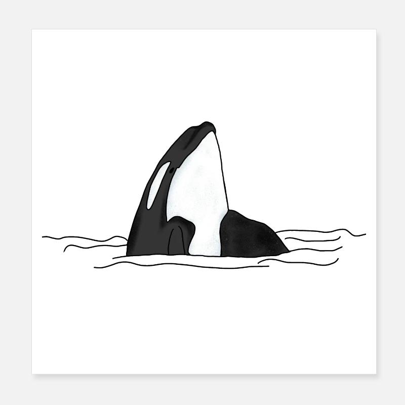 Killer whale Poster 8" x 8" (20x20 cm)