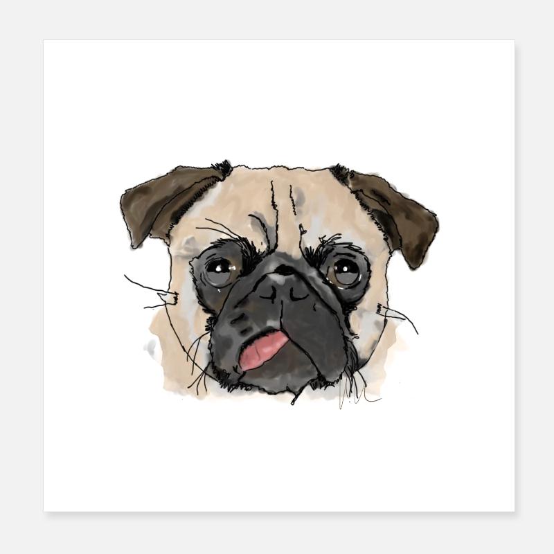 Pug - Poster 8" x 8" (20x20 cm) - white