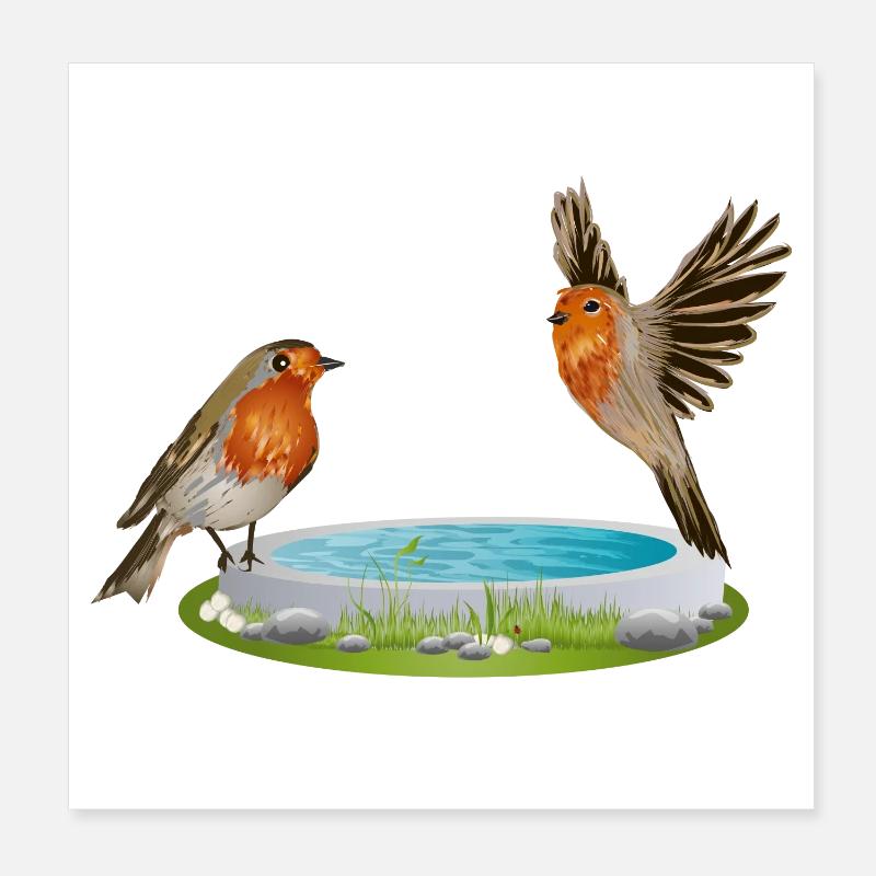 Bird potions with two fun robins Poster 8" x 8" (20x20 cm)