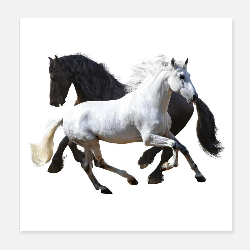 Chevaux - Poster 20 x 20 cm - blanc