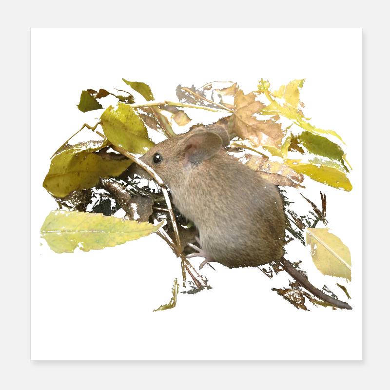 Souris dans le feuillage Poster 20 x 20 cm