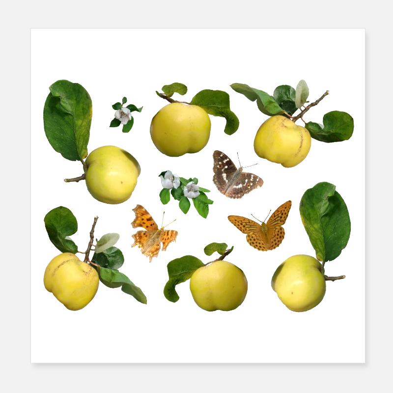 Coings aux fleurs de coing et papillons Poster 20 x 20 cm