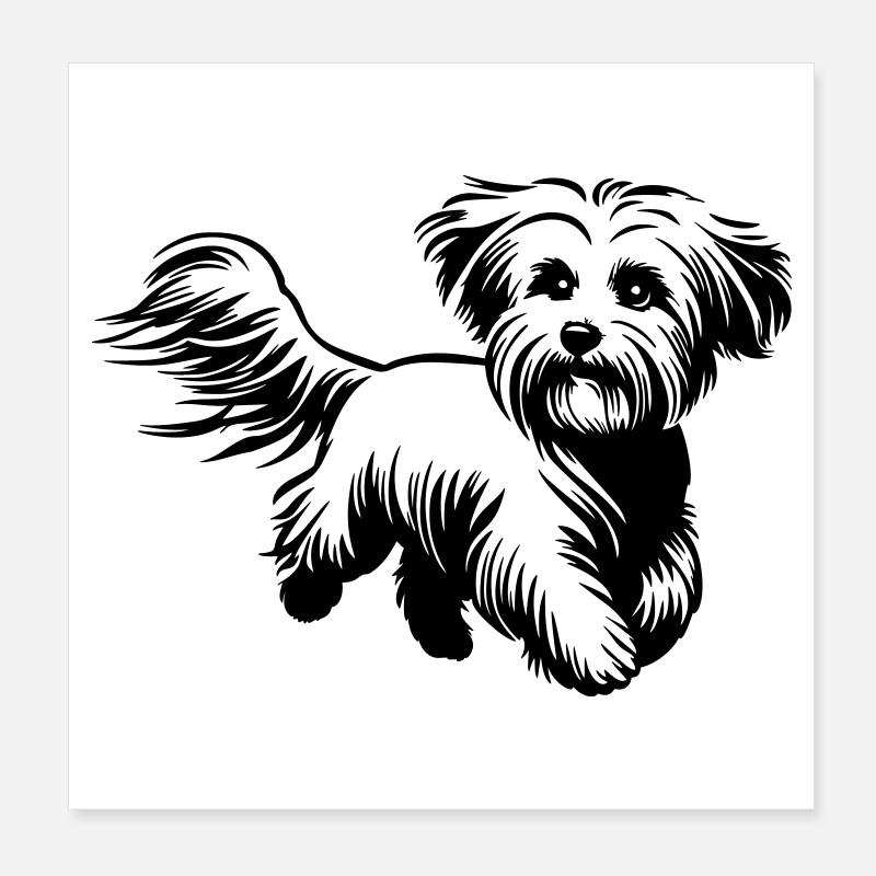 Maltese Poster 8" x 8" (20x20 cm)