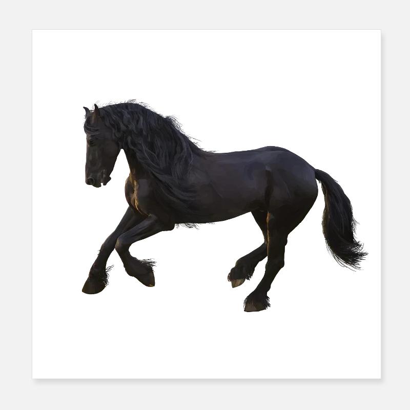 Cheval - Poster 20 x 20 cm - blanc