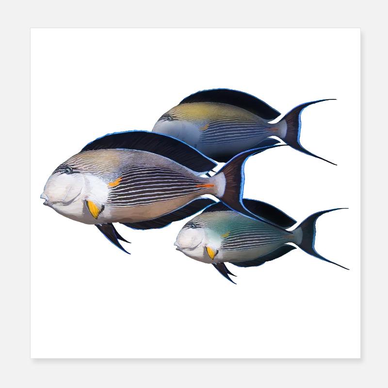 Fish Poster 8" x 8" (20x20 cm)