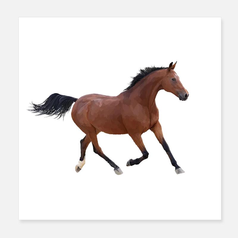 Pferd Poster 20x20 cm