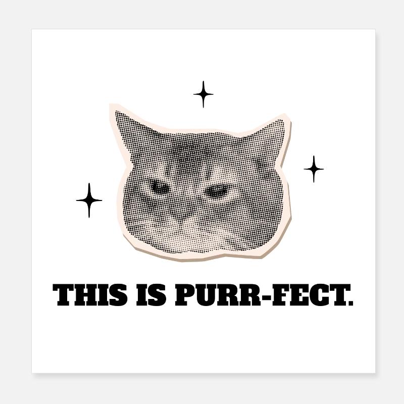 Die Purr-fekte Katze - Poster 20x20 cm - Weiß
