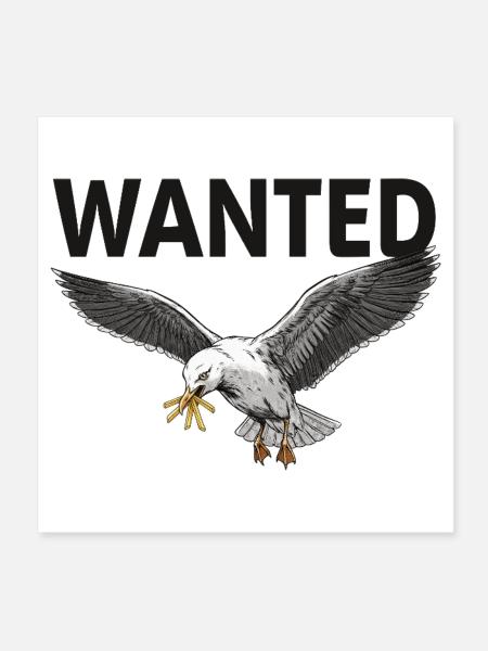 Recherché : Frites Seagull - Poster 20 x 20 cm - blanc - Devant