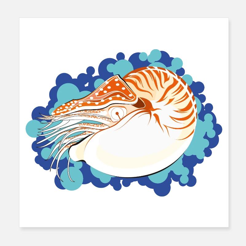 Nautilus Pompilius - Art marin rétro Poster 20 x 20 cm