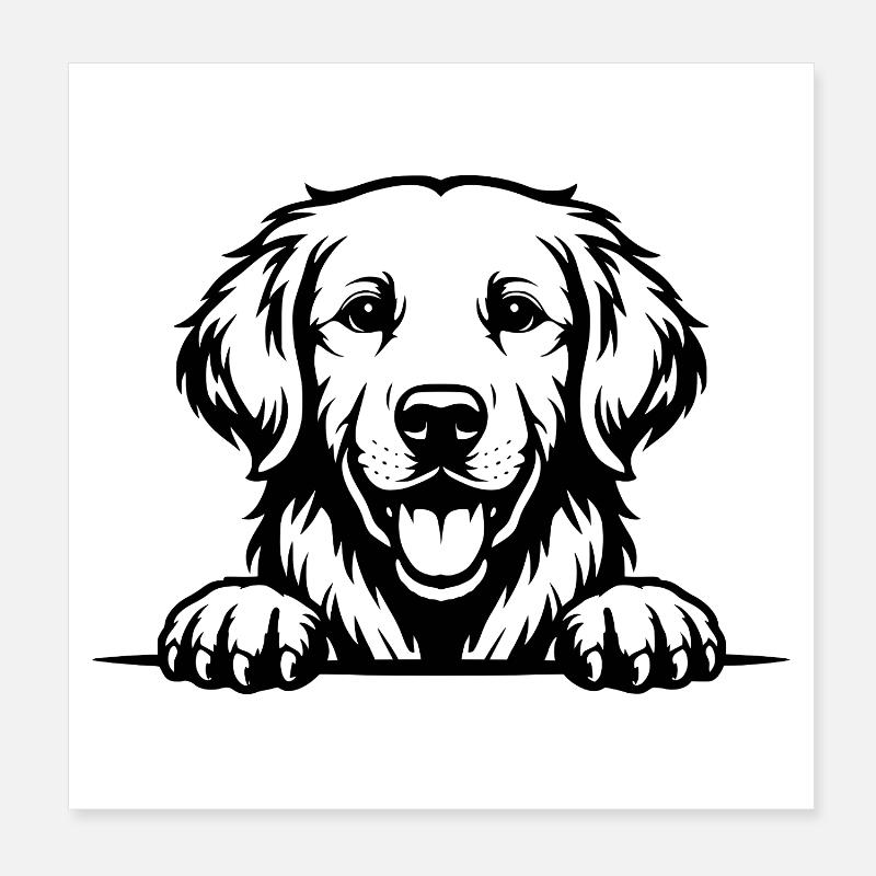 Golden Retriever avec des pattes Poster 20 x 20 cm
