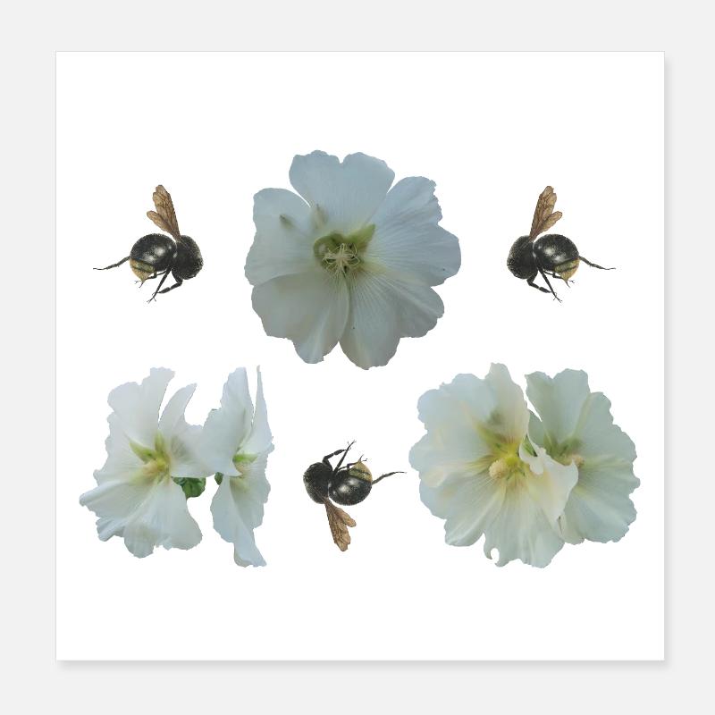 Hollyhocks with bumblebees Poster 8" x 8" (20x20 cm)