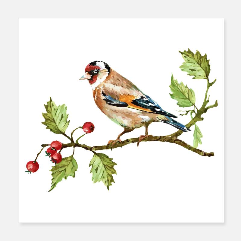 Oiseau coloré Poster 20 x 20 cm