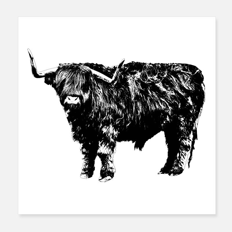 Highland Cattle Poster 8" x 8" (20x20 cm)