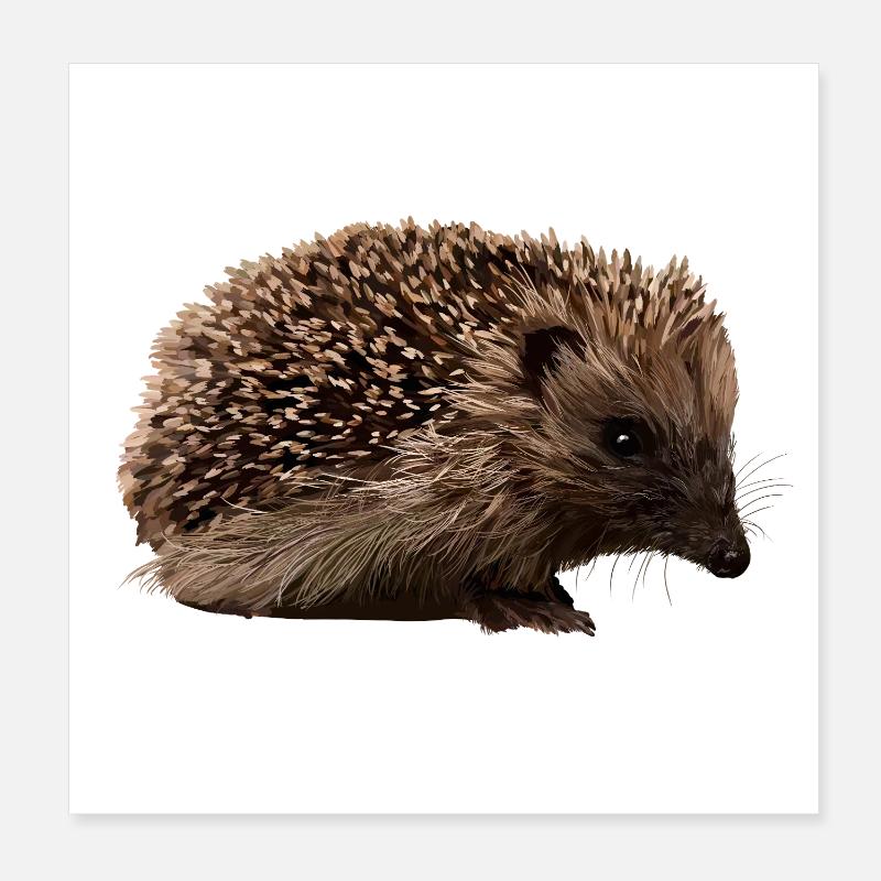 Hérisson dans le style forêt Poster 20 x 20 cm