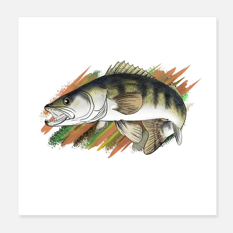 Zander Poster 20x20 cm