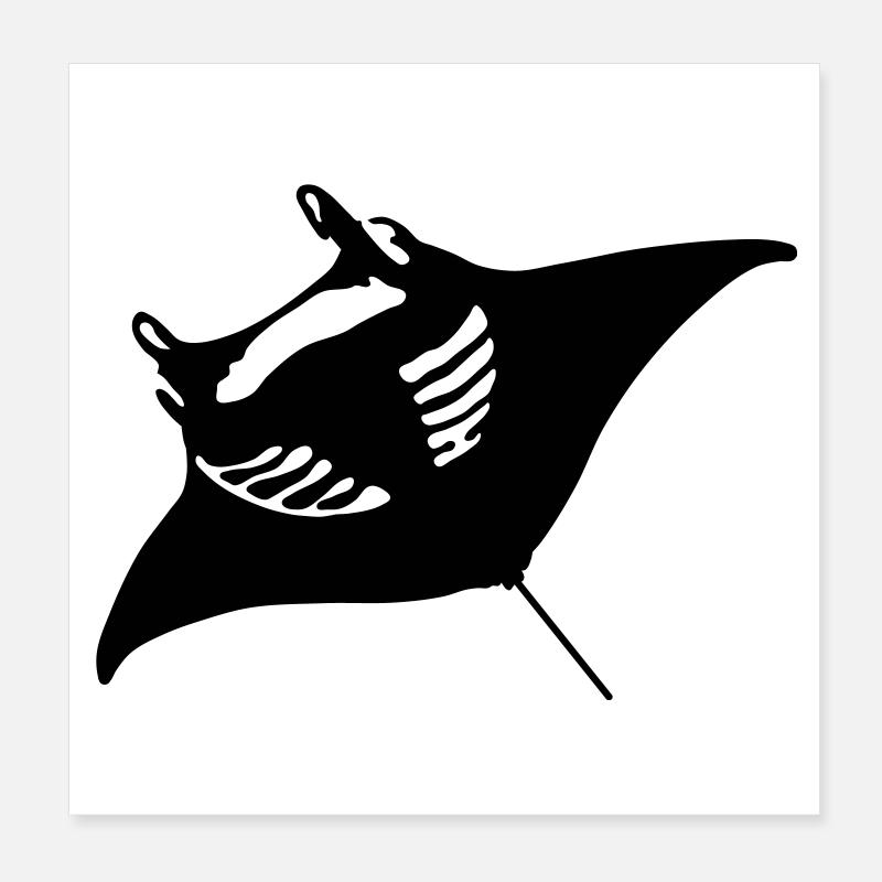 Teufelsrochen Poster 20x20 cm