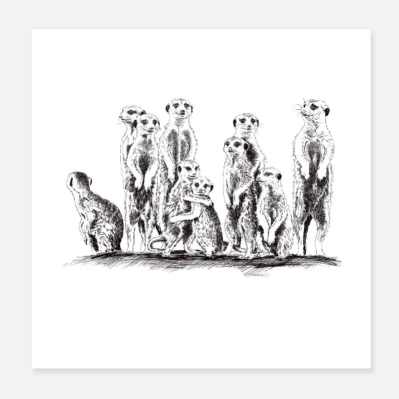 Erdmännchen Poster 20x20 cm
