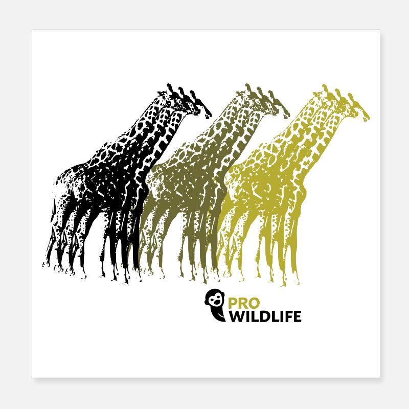 9 Giraffen Poster 20x20 cm