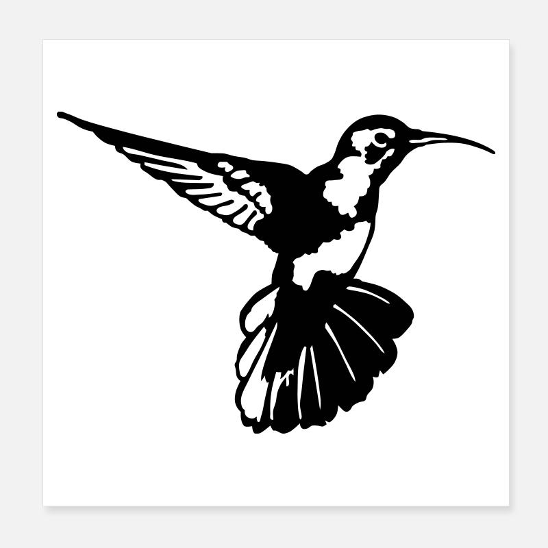Colibri Poster 20 x 20 cm