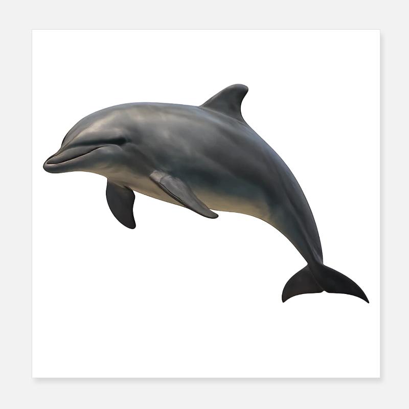 Dolphin in soft shades Poster 8" x 8" (20x20 cm)