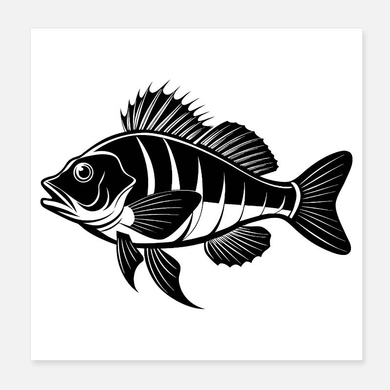 Pourquoi Fish Poster 20 x 20 cm