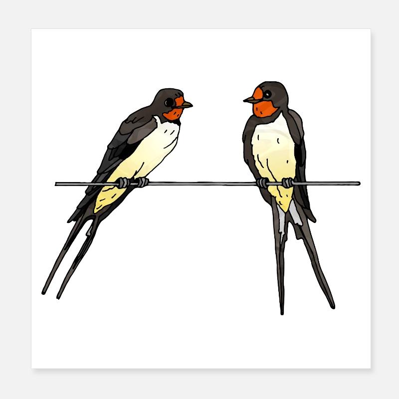 Schwalben Poster 20x20 cm