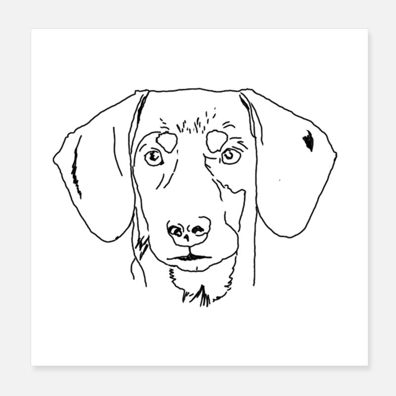 Teckel - Poster 20 x 20 cm - blanc