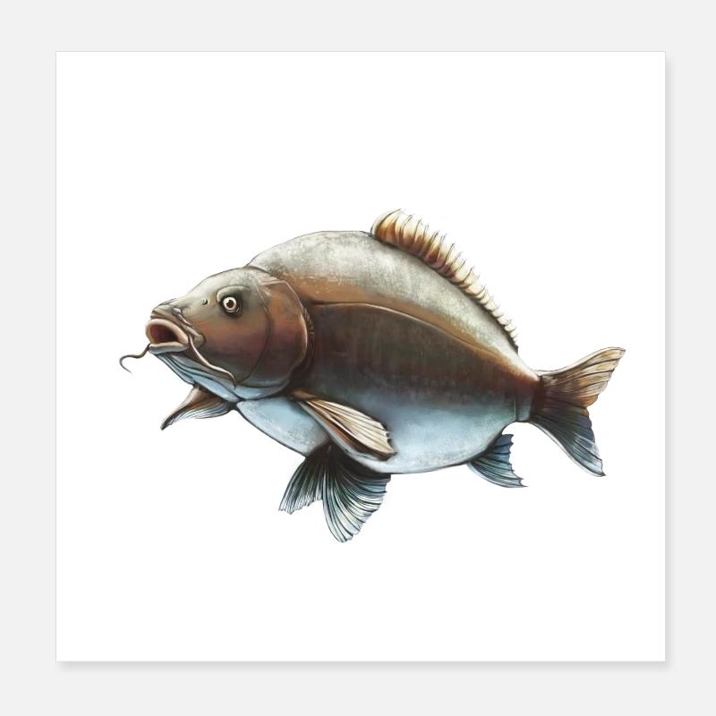 Conception de la pêche à la carpe miroir Carpe réaliste Poster 20 x 20 cm