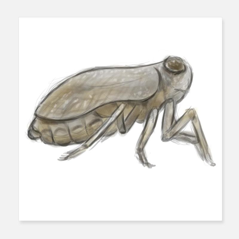 Cicada Ink Sketch in Earth Tones Poster 8" x 8" (20x20 cm)