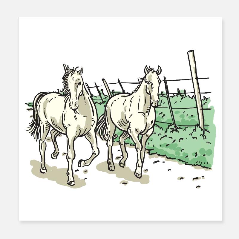 Deux chevaux élégants Poster 20 x 20 cm