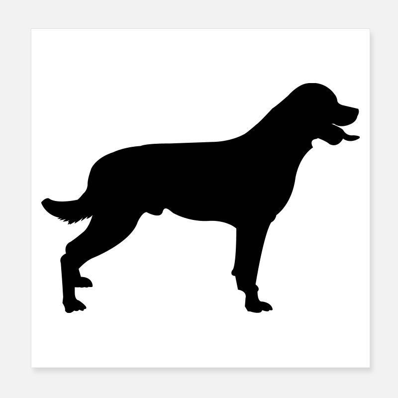 Hund Poster 20x20 cm