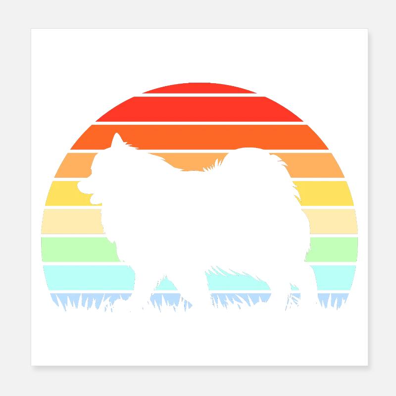 Samojede Hund Samoyed Poster 20x20 cm