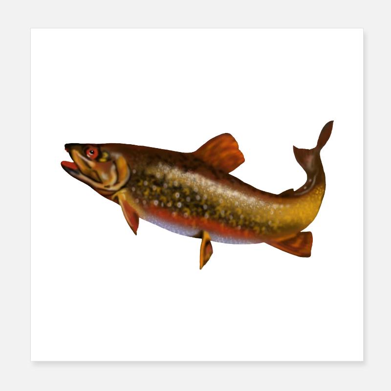 poisson Poster 20 x 20 cm