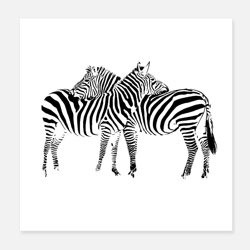 Zebra Poster 20 x 20 cm
