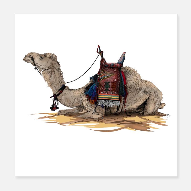 camel Poster 8" x 8" (20x20 cm)