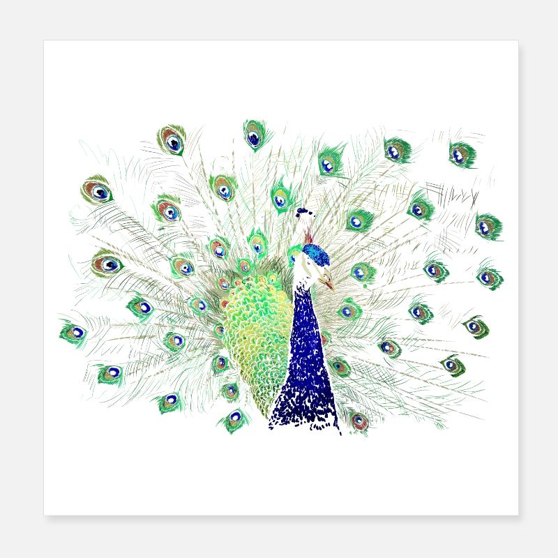 Peacock Poster 8" x 8" (20x20 cm)