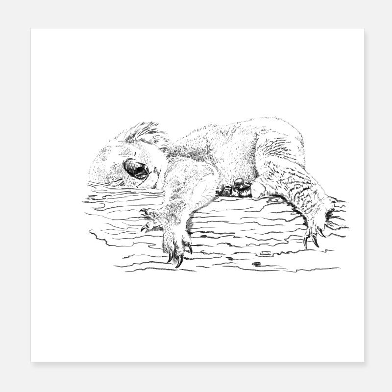 koala bear Poster 20 x 20 cm
