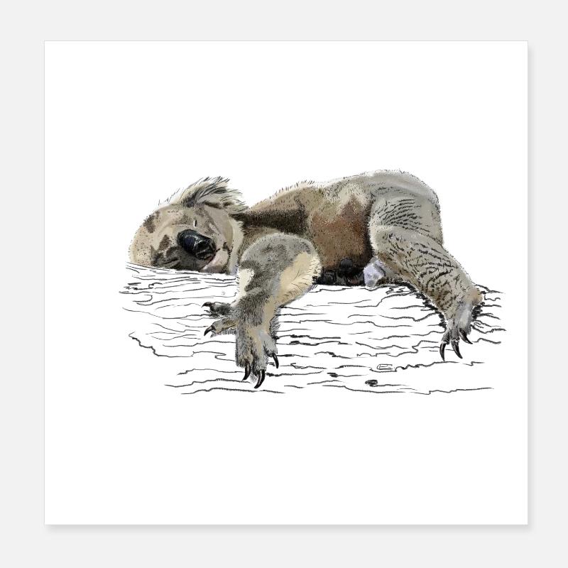 Koala Poster 20x20 cm