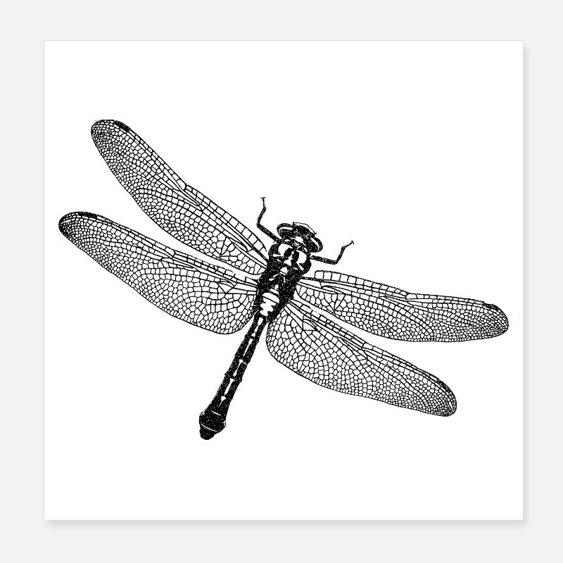 Libellule Poster 20 x 20 cm