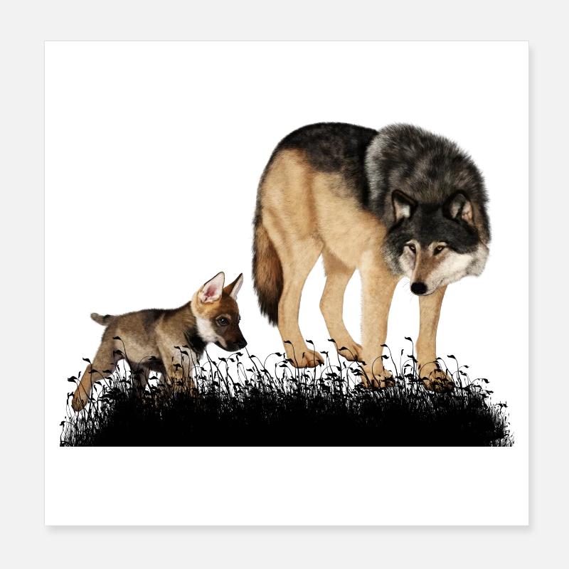 Loup renversant avec l’ourson dans les bois Poster 20 x 20 cm