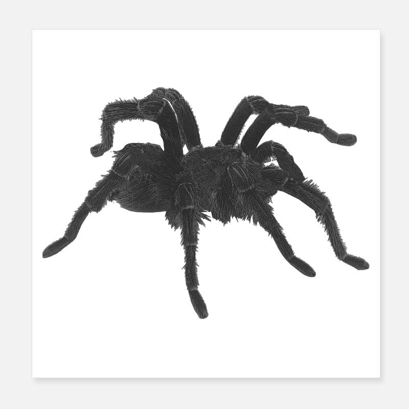 Tarantel design, geburtstagsgeschenk Mann, goth Poster 20x20 cm