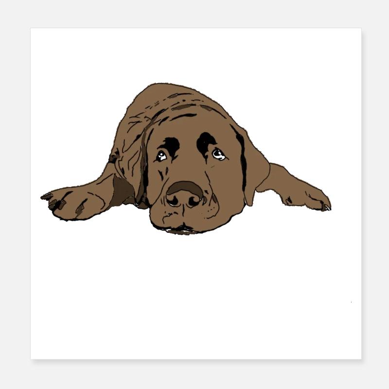 Labrador - Poster 8" x 8" (20x20 cm) - white