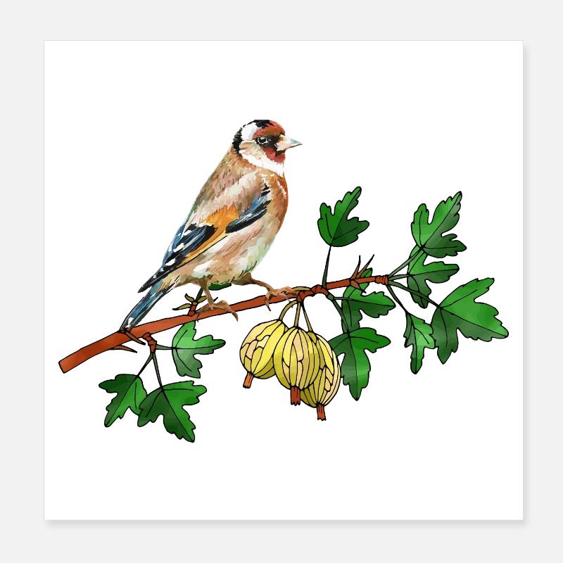 Oiseau coloré Poster 20 x 20 cm