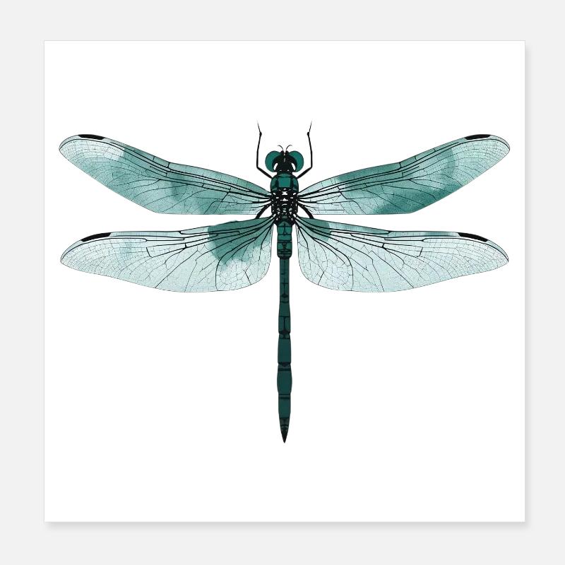 Libellule. Dragonfly - dragon-fly - libellule Poster 20 x 20 cm