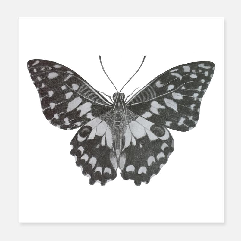Papillon monochrome élégant en noir et blanc Poster 20 x 20 cm