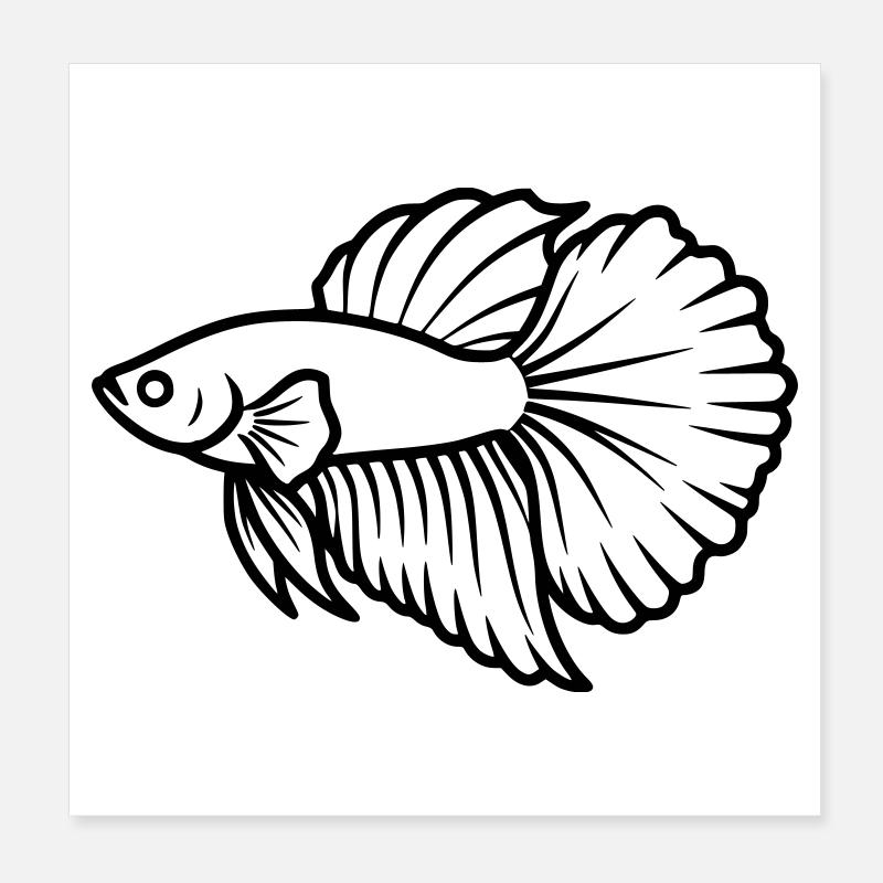 Kampffisch Betta Splendens Aquarium Poster 20 x 20 cm