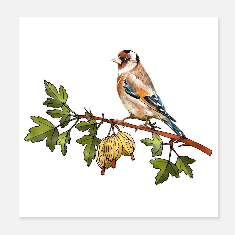 Bunter Vogel Poster 20x20 cm