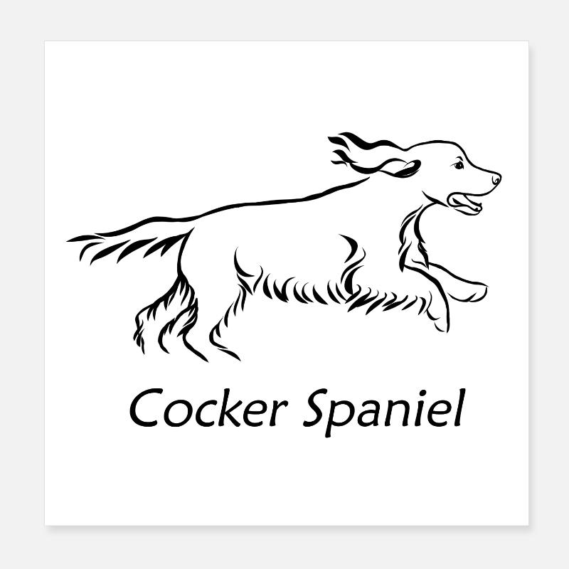 Cocker Spaniel Poster 20x20 cm