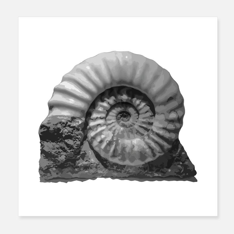 Ammonite - Poster 20 x 20 cm - blanc